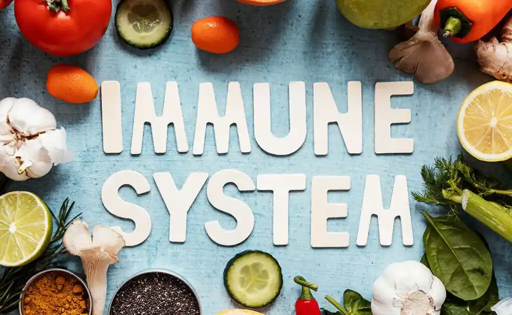 Role of Nutrition in Boosting Immunity